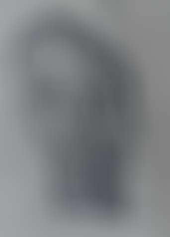 Leyssie Fania PIERRE